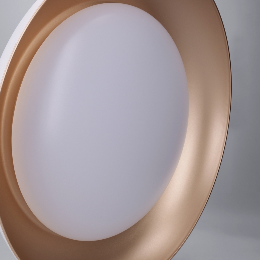 Brilagi - LED Stmívatelné stropní svítidlo ALVA LED/48W/230V 3000-6500K pr. 51 cm bílá + dálkové ovládání