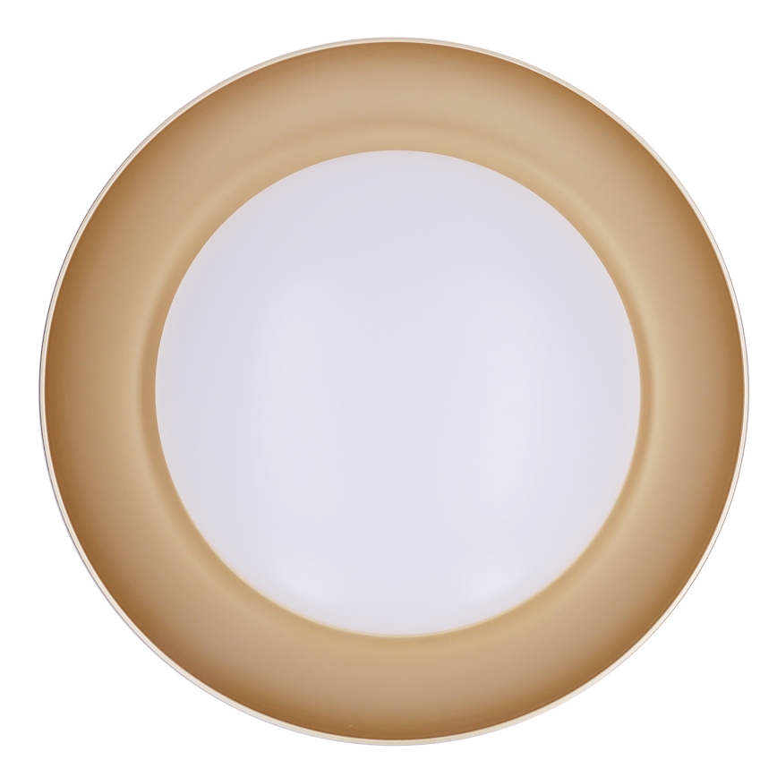 Brilagi - LED Stmívatelné stropní svítidlo ALVA LED/48W/230V 3000-6500K pr. 51 cm černá + dálkové ovládání