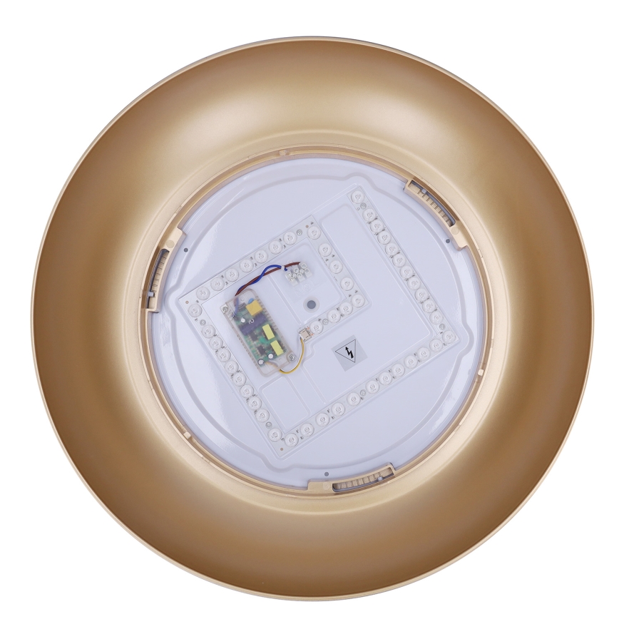 Brilagi - LED Stmívatelné stropní svítidlo ALVA LED/48W/230V 3000-6500K pr. 51 cm černá + dálkové ovládání