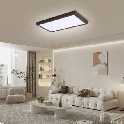 Brilagi - LED Stmívatelné koupelnové stropní svítidlo FRAME SMART LED/30W/230V 30x60 cm 3000-6000K  IP44 černá  + dálkové ovládání