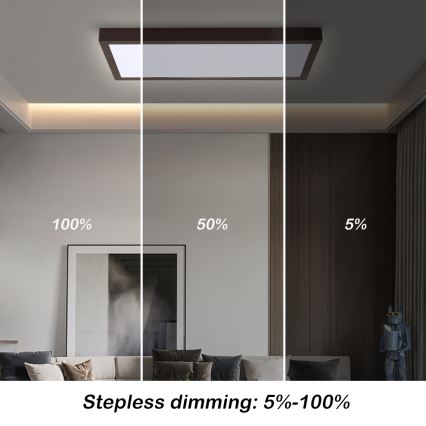 Brilagi - LED Stmívatelné koupelnové stropní svítidlo FRAME SMART LED/30W/230V 30x60 cm 3000-6000K  IP44 černá  + dálkové ovládání