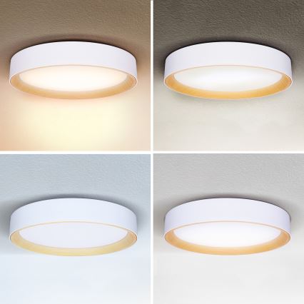 Brilagi - LED Stmívatelné stropní svítidlo LARIOS LED/48W/230V 3000-6500K ø 39 cm bílá + dálkové ovládání