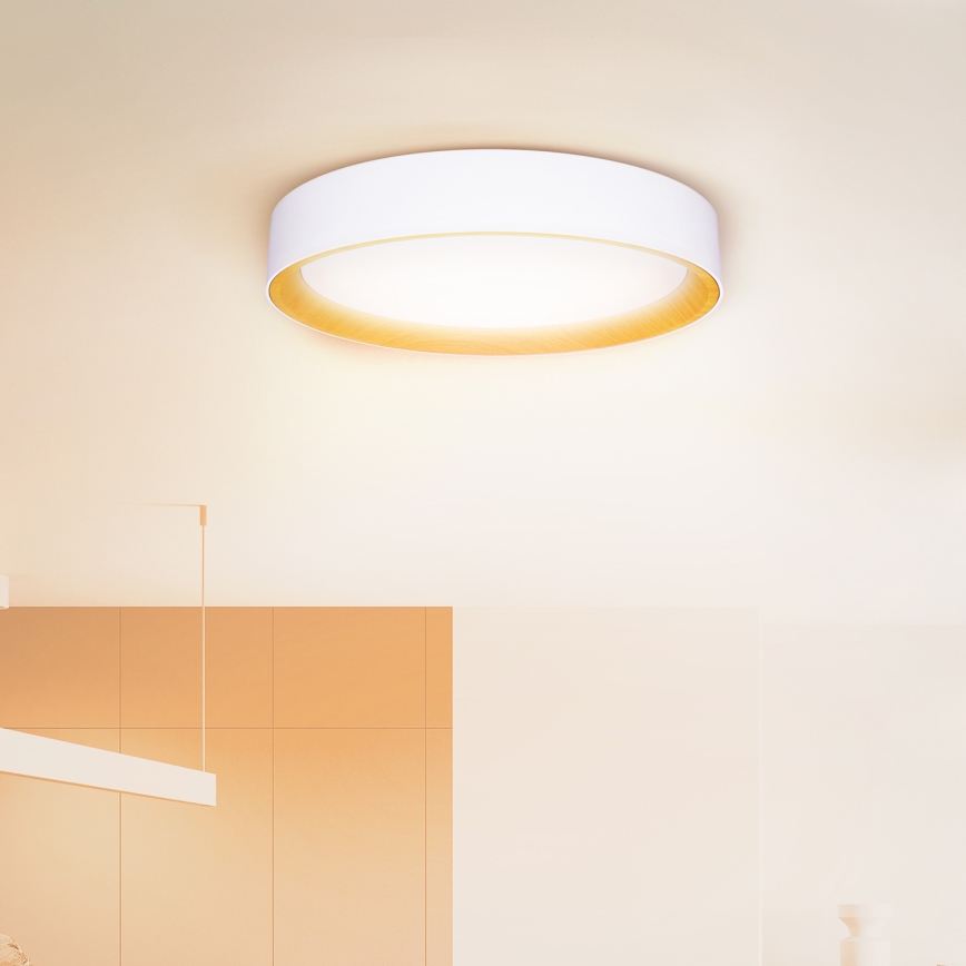 Brilagi - LED Stmívatelné stropní svítidlo LARIOS LED/48W/230V 3000-6500K ø 39 cm bílá + dálkové ovládání