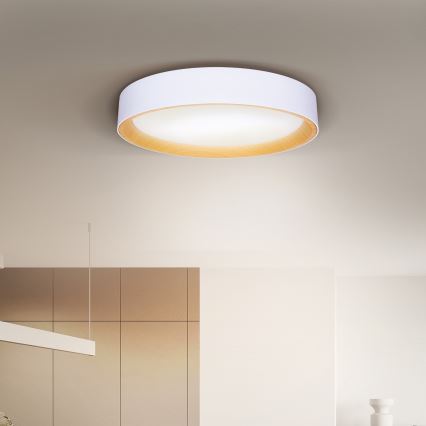Brilagi - LED Stmívatelné stropní svítidlo LARIOS LED/48W/230V 3000-6500K ø 39 cm bílá + dálkové ovládání