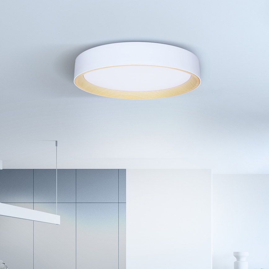 Brilagi - LED Stmívatelné stropní svítidlo LARIOS LED/48W/230V 3000-6500K ø 39 cm bílá + dálkové ovládání