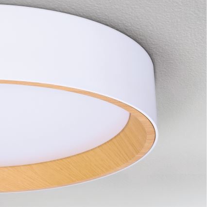 Brilagi - LED Stmívatelné stropní svítidlo LARIOS LED/48W/230V 3000-6500K ø 39 cm bílá + dálkové ovládání