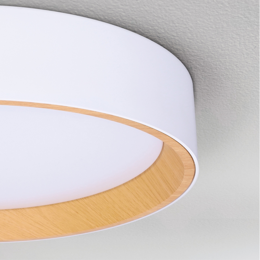 Brilagi - LED Stmívatelné stropní svítidlo LARIOS LED/48W/230V 3000-6500K ø 39 cm bílá + dálkové ovládání