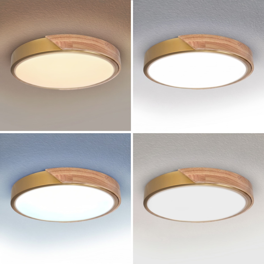 BRILAGI - LED Stmívatelné stropní svítidlo PILANA LED/48W/230V 3000-6500K dub/zlatá pr. 40 cm + dálkové ovládání