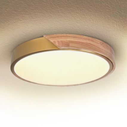 BRILAGI - LED Stmívatelné stropní svítidlo PILANA LED/48W/230V 3000-6500K dub/zlatá pr. 40 cm + dálkové ovládání