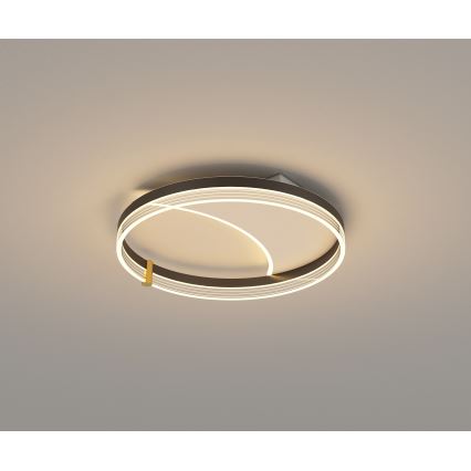 Brilagi - LED Stmívatelné stropní svítidlo SIRELI LED/47W/230V 3000-6000K pr. 40 cm + dálkové ovládání