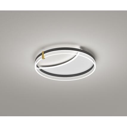 Brilagi - LED Stmívatelné stropní svítidlo SIRELI LED/47W/230V 3000-6000K pr. 40 cm + dálkové ovládání