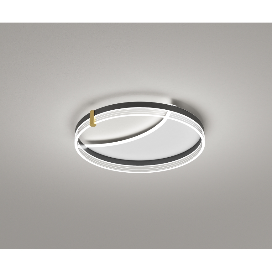 Brilagi - LED Stmívatelné stropní svítidlo SIRELI LED/47W/230V 3000-6000K pr. 40 cm + dálkové ovládání