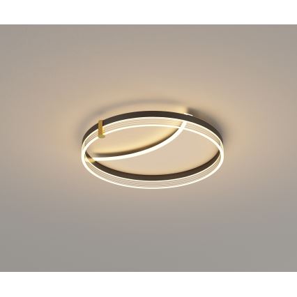 Brilagi - LED Stmívatelné stropní svítidlo SIRELI LED/47W/230V 3000-6000K pr. 40 cm + dálkové ovládání