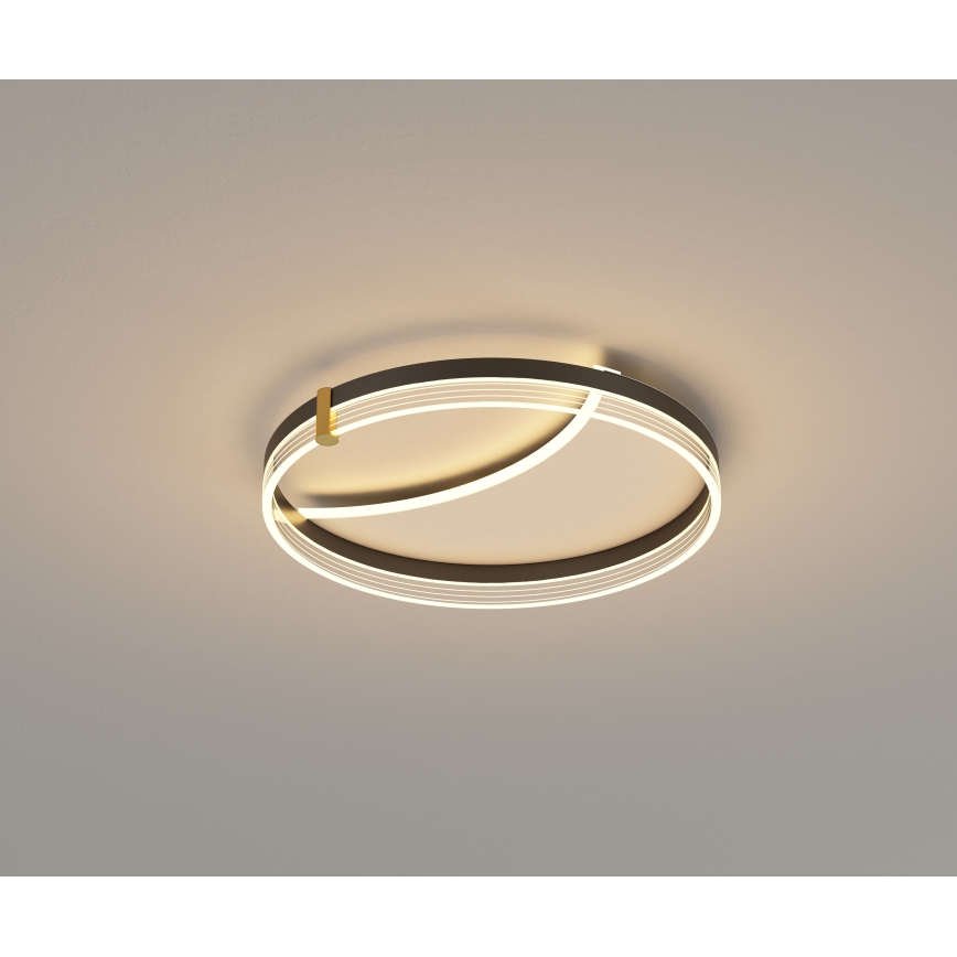 Brilagi - LED Stmívatelné stropní svítidlo SIRELI LED/47W/230V 3000-6000K pr. 40 cm + dálkové ovládání