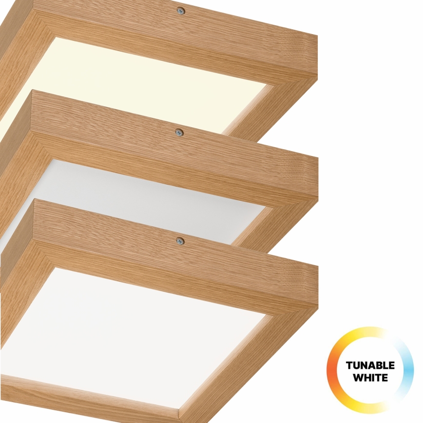 Brilagi - LED Stmívatelné koupelnové stropní svítidlo WOODY FRAME LED/24W/230V dub 30x30 cm 3000-6000K IP44 + dálkové ovládání