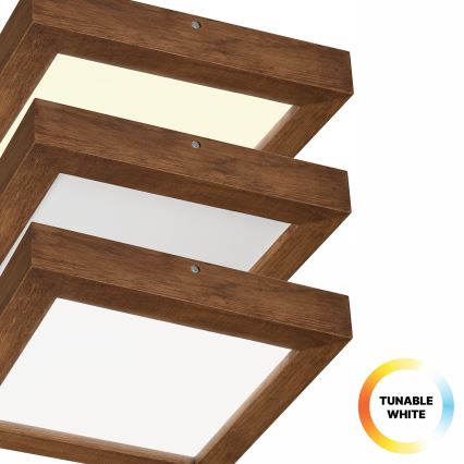 Brilagi - LED Stmívatelné koupelnové stropní svítidlo WOODY FRAME LED/24W/230V dub třešeň 30x30 cm 3000-6000K IP44 + dálkové ovládání