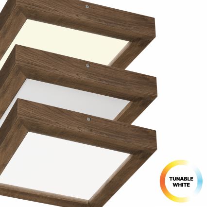 Brilagi - LED Stmívatelné koupelnové stropní svítidlo WOODY FRAME LED/24W/230V dub ořech 30x30 cm 3000-6000K IP44 + dálkové ovládání
