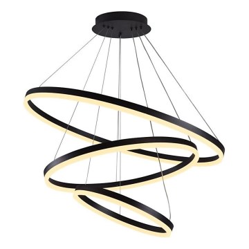 Brilagi - LED Stmívatelný lustr na lanku CIRCLE LED/125W/230V 3000-6500K černá + dálkové ovládání