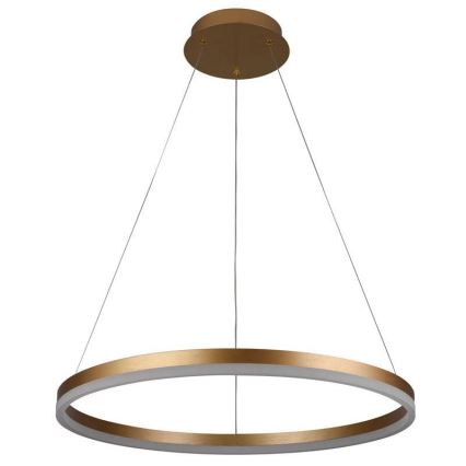 Brilagi - LED Stmívatelný lustr na lanku CIRCLE LED/42W/230V 3000-6500K + dálkové ovládání