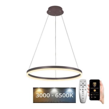 Brilagi - LED Stmívatelný lustr na lanku CIRCLE LED/42W/230V 3000-6500K hnědá + dálkové ovládání