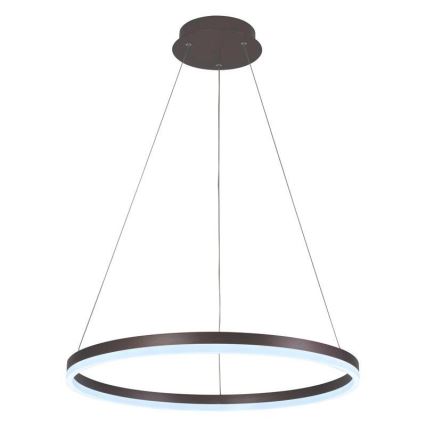 Brilagi - LED Stmívatelný lustr na lanku CIRCLE LED/42W/230V 3000-6500K hnědá + dálkové ovládání
