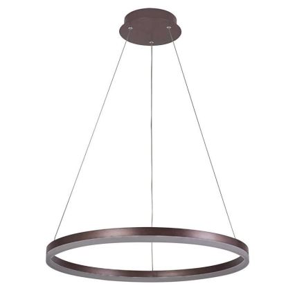 Brilagi - LED Stmívatelný lustr na lanku CIRCLE LED/42W/230V 3000-6500K hnědá + dálkové ovládání