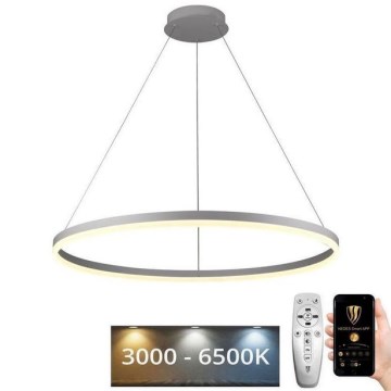 Brilagi - LED Stmívatelný lustr na lanku CIRCLE LED/55W/230V 3000-6500K + dálkové ovládání