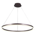 Brilagi - LED Stmívatelný lustr na lanku CIRCLE LED/55W/230V 3000-6500K pr. 80 cm hnědá + dálkové ovládání