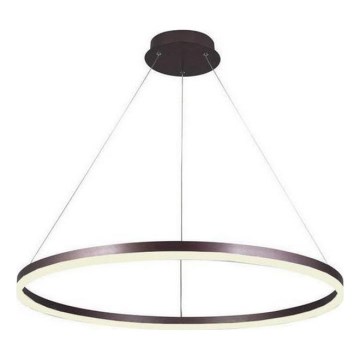 Brilagi - LED Stmívatelný lustr na lanku CIRCLE LED/55W/230V 3000-6500K pr. 80 cm hnědá + dálkové ovládání