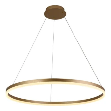 Brilagi - LED Stmívatelný lustr na lanku CIRCLE LED/55W/230V 3000-6500K pr. 80 cm zlatá + dálkové ovládání