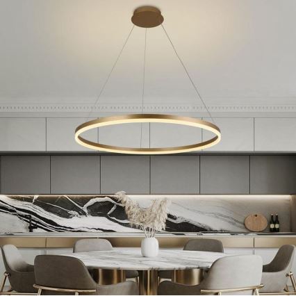 Brilagi - LED Stmívatelný lustr na lanku CIRCLE LED/55W/230V 3000-6500K zlatá + dálkové ovládání