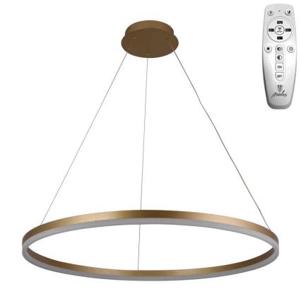 Brilagi - LED Stmívatelný lustr na lanku CIRCLE LED/55W/230V 3000-6500K zlatá + dálkové ovládání
