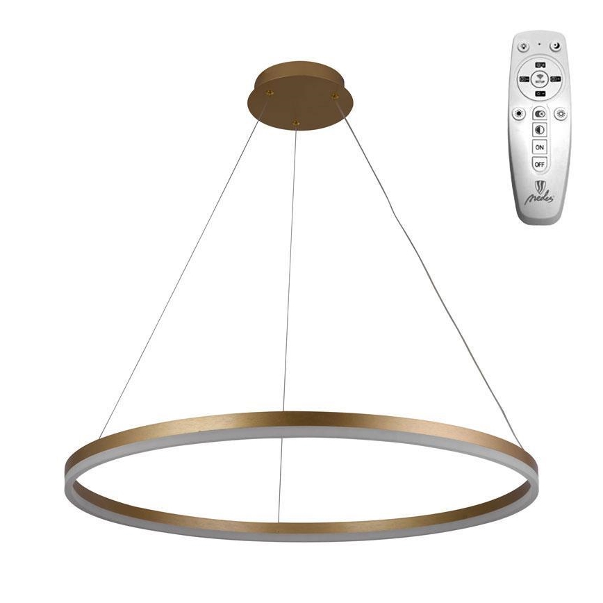 Brilagi - LED Stmívatelný lustr na lanku CIRCLE LED/55W/230V 3000-6500K zlatá + dálkové ovládání