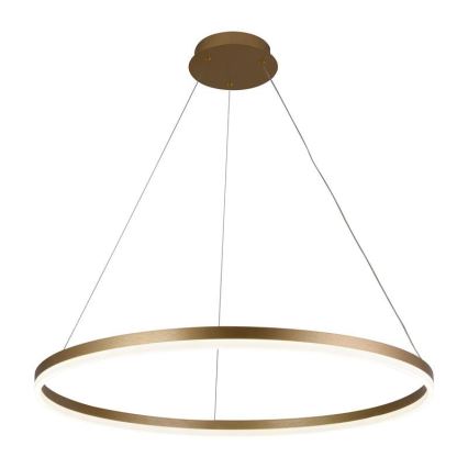 Brilagi - LED Stmívatelný lustr na lanku CIRCLE LED/55W/230V 3000-6500K zlatá + dálkové ovládání