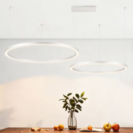 Brilagi - LED Stmívatelný lustr na lanku PORTOFINO LED/98W/230V 3000-6000K stříbrná + dálkové ovládání