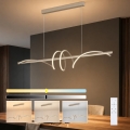 BRILAGI - LED Stmívatelný lustr na lanku SIGNATURE LED/50W/230V 3000-6000K 120 cm béžová + dálkové ovládání