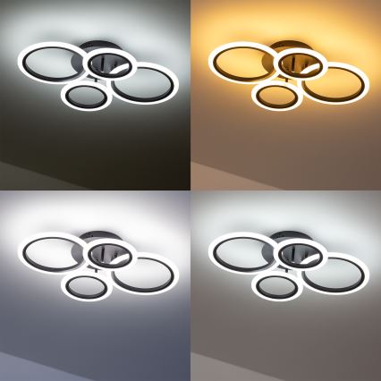 Brilagi - LED Stmívatelný přisazený lustr ORBITS LED/50W/230V 3000-6500K antracit + dálkové ovládání