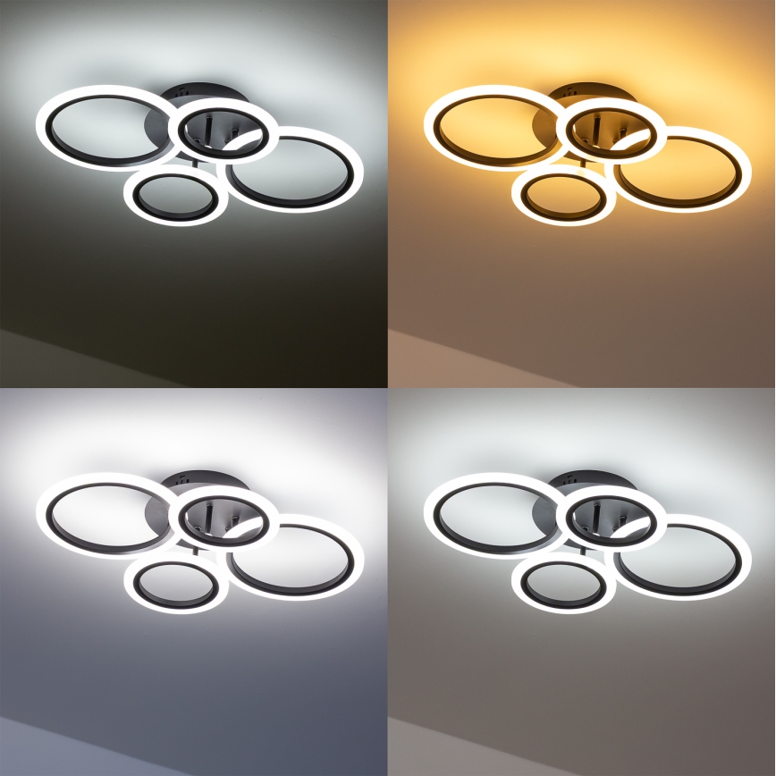 Brilagi - LED Stmívatelný přisazený lustr ORBITS LED/50W/230V 3000-6500K antracit + dálkové ovládání