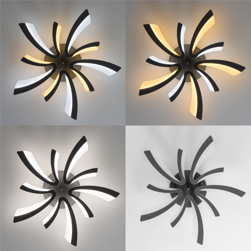 Brilagi - LED Stmívatelný přisazený lustr TWIST LED/55W/230V 3000-6500K antracit + dálkové ovládání