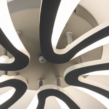 Brilagi - LED Stmívatelný přisazený lustr TWIST LED/55W/230V 3000-6500K antracit + dálkové ovládání