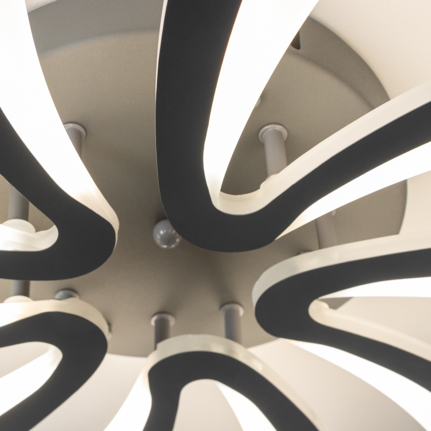 Brilagi - LED Stmívatelný přisazený lustr TWIST LED/55W/230V 3000-6500K antracit + dálkové ovládání