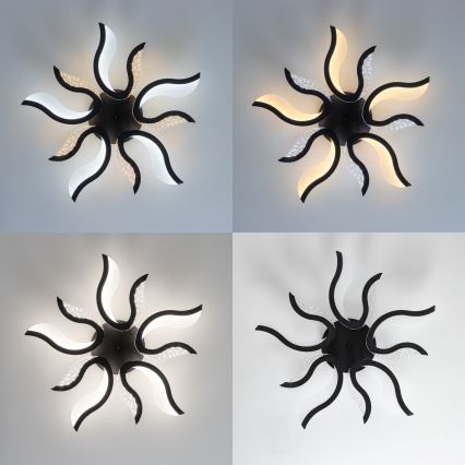 Brilagi - LED Stmívatelný přisazený lustr TWIST LED/65W/230V 3000-6500K černá + dálkové ovládání