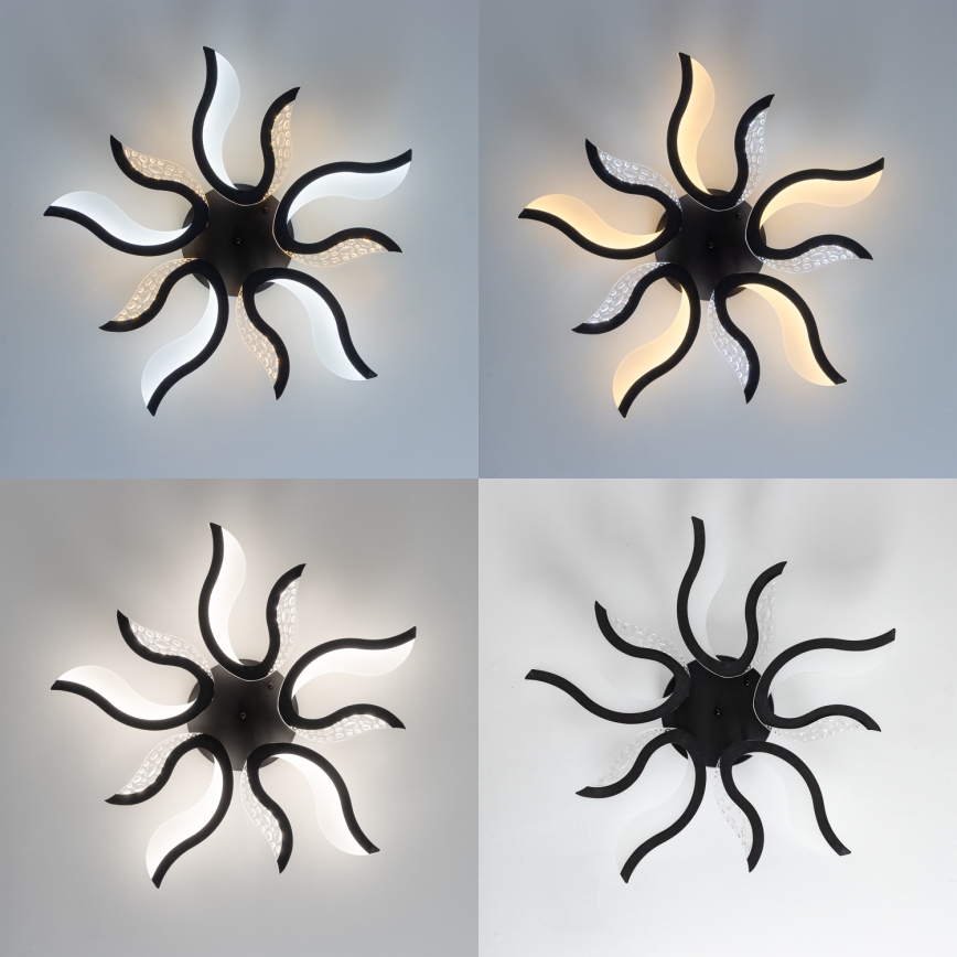 Brilagi - LED Stmívatelný přisazený lustr TWIST LED/65W/230V 3000-6500K černá + dálkové ovládání
