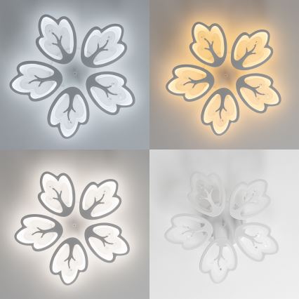 Brilagi - LED Stmívatelný přisazený lustr TWIST LED/80W/230V 3000-6500K bílá + dálkové ovládání