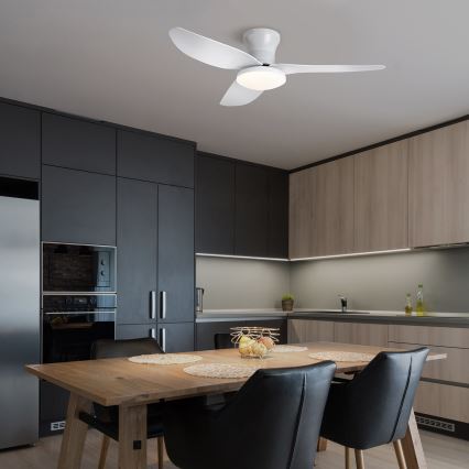Brilagi - LED Stmívatelný stropní ventilátor LED/30W/230V 3000-6500K bílá + dálkové ovládání