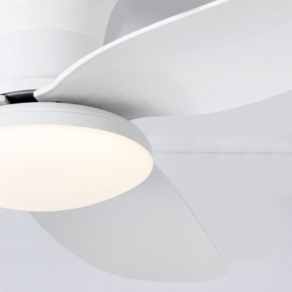Brilagi - LED Stmívatelný stropní ventilátor LED/30W/230V 3000-6500K bílá + dálkové ovládání