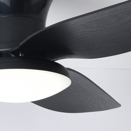 Brilagi - LED Stmívatelný stropní ventilátor LED/30W/230V 3000-6500K černá + dálkové ovládání