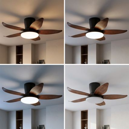 Brilagi - LED Stmívatelný stropní ventilátor LED/32W/230V 3000-6500K pr. 95 cm černá/hnědá + dálkové ovládání