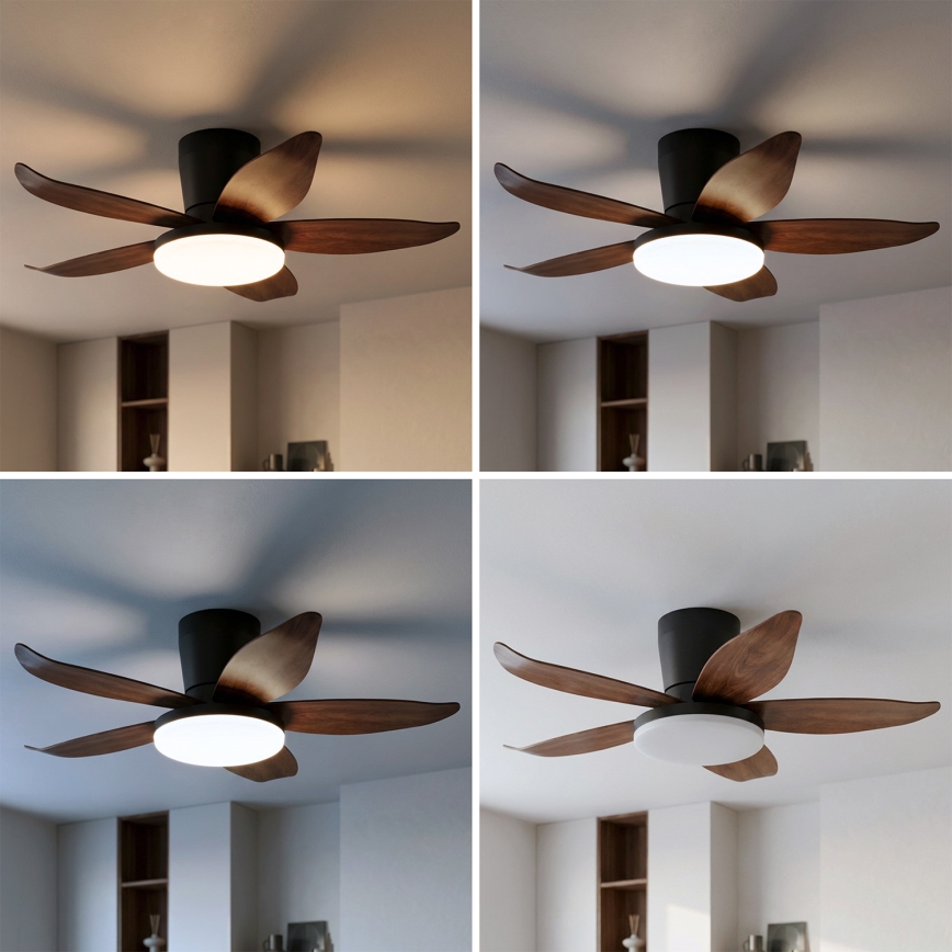 Brilagi - LED Stmívatelný stropní ventilátor LED/32W/230V 3000-6500K pr. 95 cm černá/hnědá + dálkové ovládání