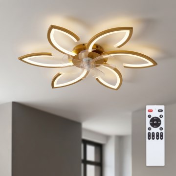 Brilagi - LED Stmívatelný stropní ventilátor LED/34W/230V pr. 78 cm zlatá + dálkové ovládání